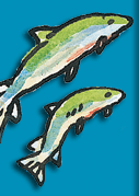 image depicting a pair of healthy fish